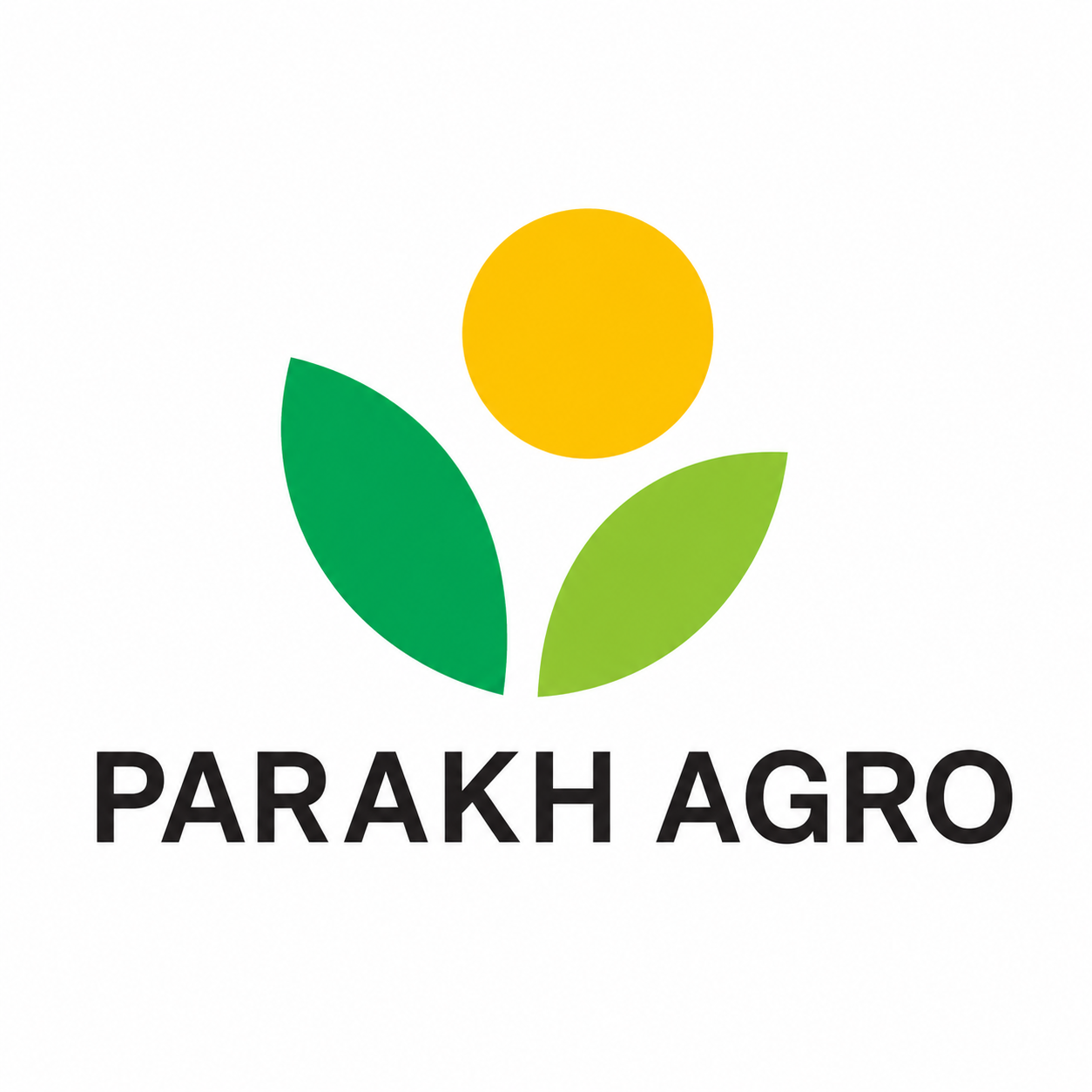 PARAKH FINAL RESIZED LOGO
